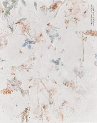 A Magazine 21: Curated By Lucie And Luke Meier (9789077745229)