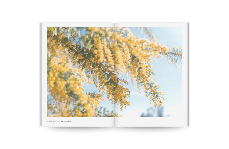 「蘆花日記 」全7冊 Diaries - 鎌田風花、小春ハルカ| moom bookshop - 攝影書與雜誌