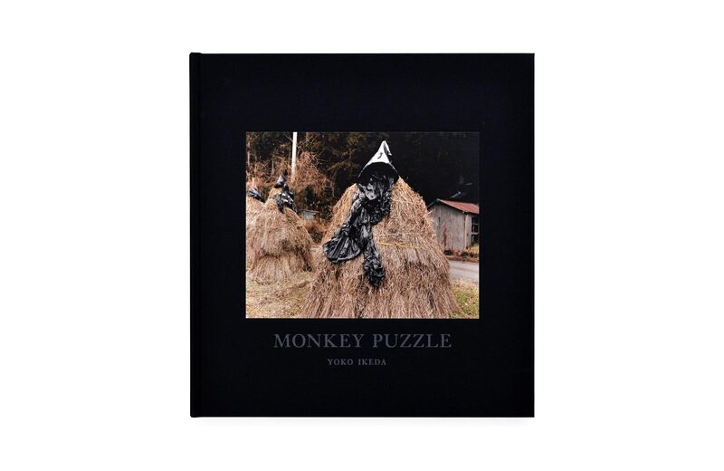 Monkey Puzzle - Yoko Ikeda | moom bookshop - art books and magazines