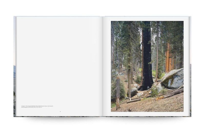 Mitch Epstein: American Nature - Mitch Epstein | moom bookshop