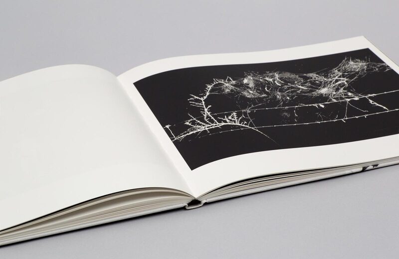 Minutes to Midnight - Trent Parke | moom bookshop - art books and