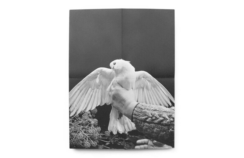 Behind the Glass - Alexandra Catiere | moom bookshop - art books