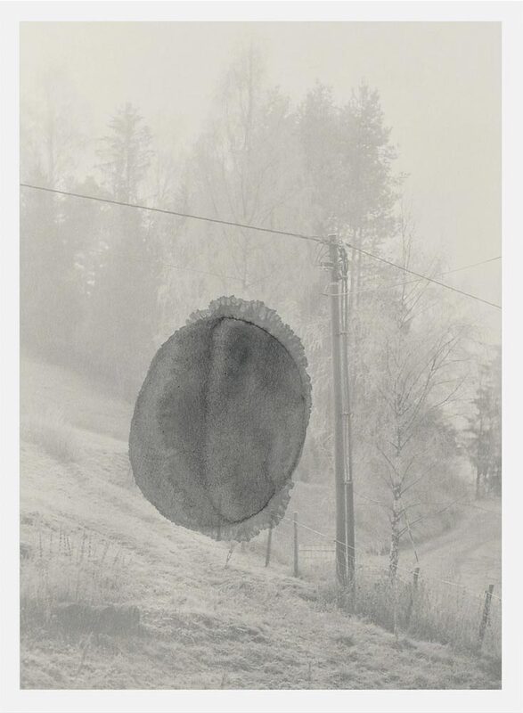 Stains & Ashes (9782490140589)