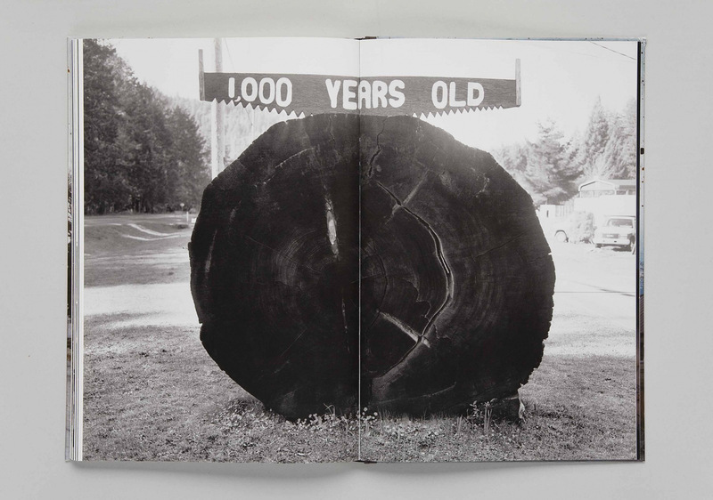 TaiyoOnorato＆NicoKrebs The Great Unreal Taiyo Onorato & Nico Krebs | The Great Unreal #11 (2022) | Artsy