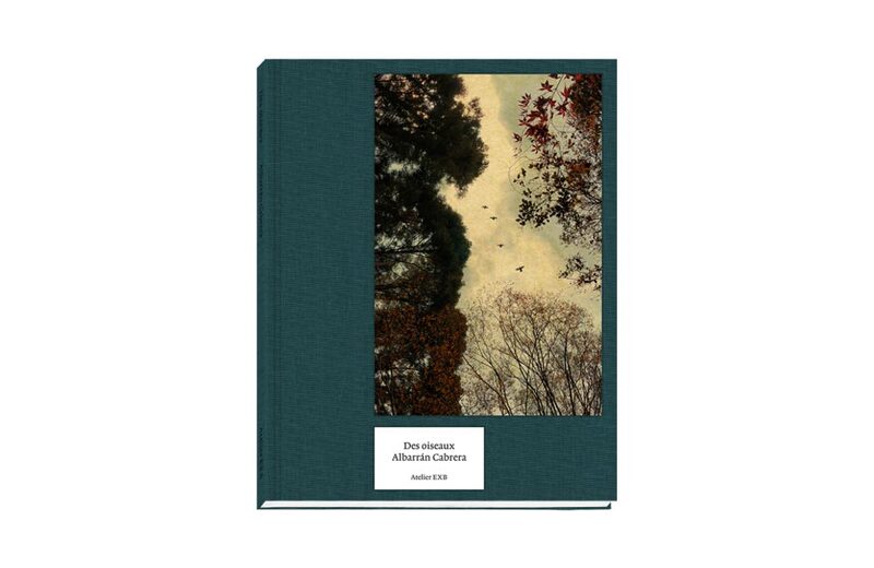Des Oiseaux - Albarrán Cabrera - Angel Albarrán, Anna Cabrera