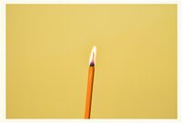 Life Studies (9784865412116)