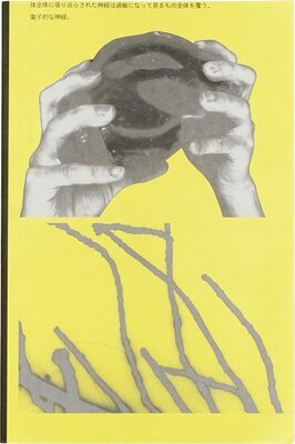 晚夏神經 Late Summer Nerves (9789869939898)