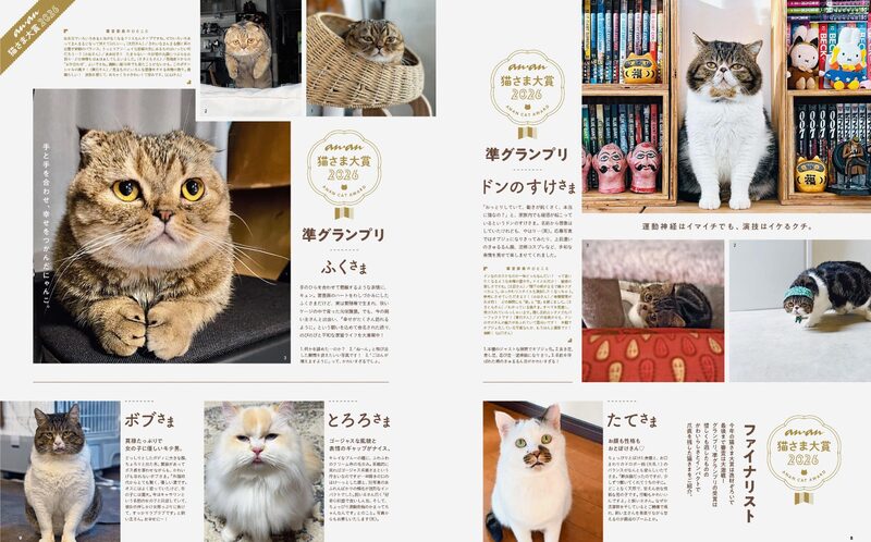 anan Special Edition: Cat LOVE – Fluffy Bumper Harvest | moom
