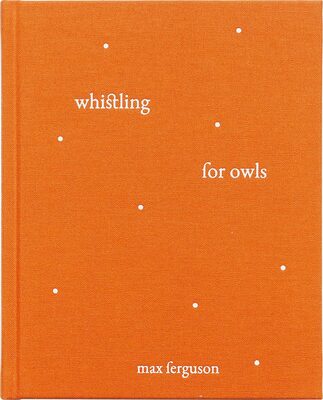 Whistling for Owls (9781739690403)