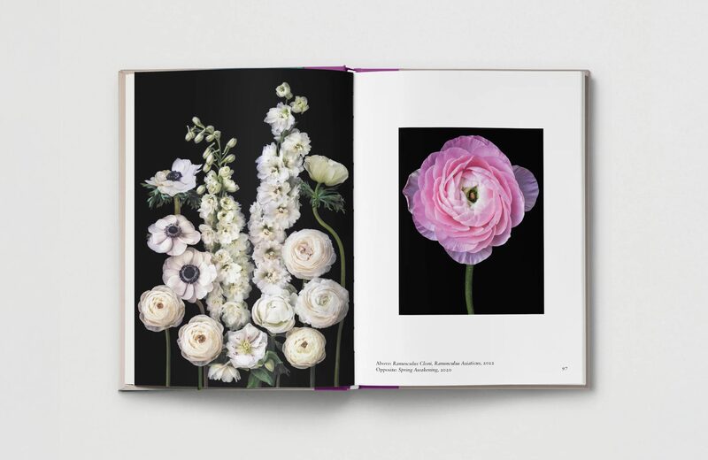 Flower. | moom bookshop - 藝術書籍與雜誌