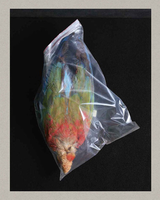 OBIA (9783868286472)