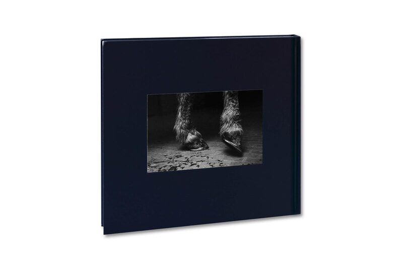 Some Say Ice - Alessandra Sanguinetti | moom bookshop - art books
